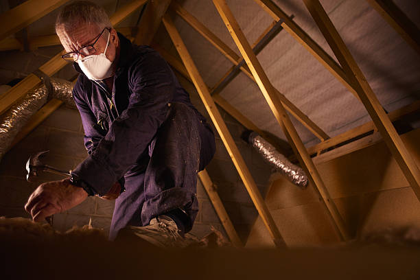 Professional Insulation Contractor in Stafford Springs, CT